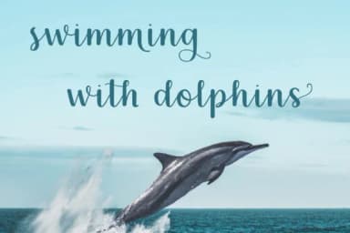 Tara Lynn Font by 212 Fonts — Script Handwritten Font — thumbnail 7