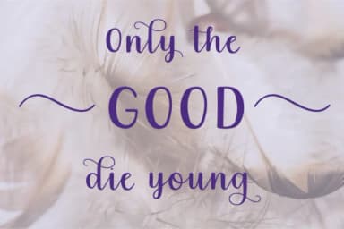 Tara Lynn Font by 212 Fonts — Script Handwritten Font — thumbnail 8