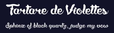 Tartare de Violettes by dcoxy - Greg Medina — Script Handwritten Font — thumbnail 2