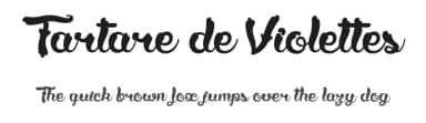 Tartare de Violettes by dcoxy - Greg Medina — Script Handwritten Font — thumbnail 1