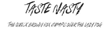 Taste Nasty by JSH creates — Script Handwritten Font — thumbnail 1