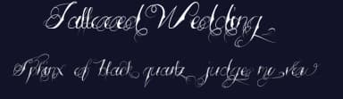 Tattooed Wedding by Vennessa Mayer — Script Handwritten Font — thumbnail 2