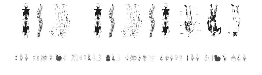 Tax Taxation by Manfred Klein — Dingbats Font