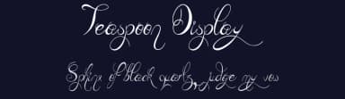 Teaspoon Display by JSH creates — Script Handwritten Font — thumbnail 2