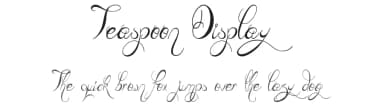 Teaspoon Display by JSH creates — Script Handwritten Font — thumbnail 1