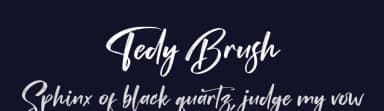 Tedy Brush by Perspectype Studio - Letterena.com — Script Handwritten Font — thumbnail 2
