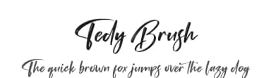 Tedy Brush by Perspectype Studio - Letterena.com — Script Handwritten Font — thumbnail 1