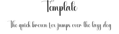 Template by Scratchones — Script Handwritten Font — thumbnail 1