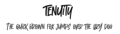 Tenuity by Gassstype — Script Handwritten Font — thumbnail 1