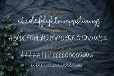 Tequilove Font by Scratch Design — Script Handwritten Font — thumbnail 7