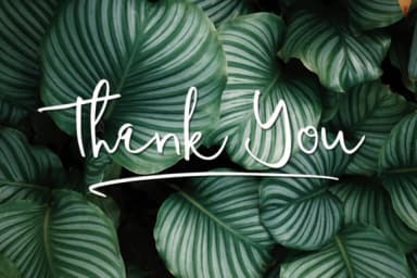 Tequilove Font by Scratch Design — Script Handwritten Font — thumbnail 8