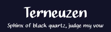 Terneuzen by Studio Hello Good — Script Handwritten Font — thumbnail 2