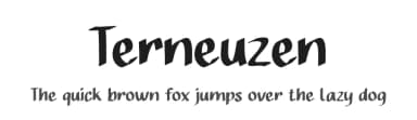 Terneuzen by Studio Hello Good — Script Handwritten Font — thumbnail 1