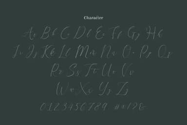 Terranika Font by Thirtypath — Script Handwritten Font — thumbnail 5