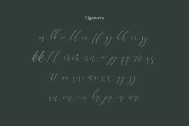 Terranika Font by Thirtypath — Script Handwritten Font — thumbnail 6