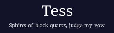 Tess by Naan Type Studio — Serif Font — thumbnail 2