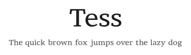 Tess by Naan Type Studio — Serif Font