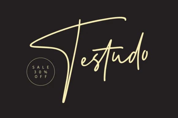 Testudo Font by Maulana Creative — Script Handwritten Font