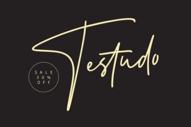 Testudo Font by Maulana Creative — Script Handwritten Font — thumbnail 1