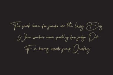 Testudo Font by Maulana Creative — Script Handwritten Font — thumbnail 7