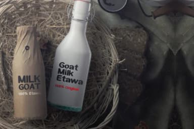 Tevos Font by da_only_aan — Script Handwritten Font — thumbnail 2