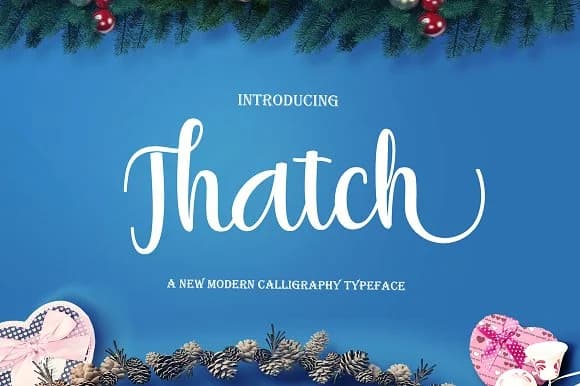 Thatch Font by JoeeCreative — Script Handwritten Font — preview 1