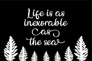 The Billow Font by Beautypes — Script Handwritten Font — thumbnail 4