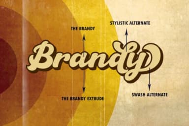 The Brandy Font by Haksen — Script Handwritten Font — thumbnail 8
