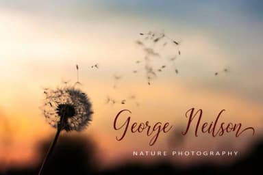 The Dance Signature Font by aminmario — Script Handwritten Font — thumbnail 3