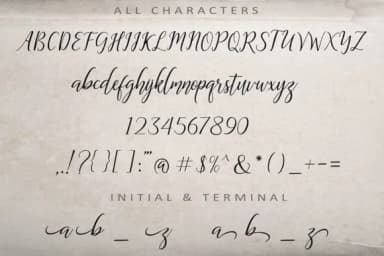 The Dance Signature Font by aminmario — Script Handwritten Font — thumbnail 8