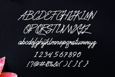 The Fallen Font by LebahStudio — Script Handwritten Font — thumbnail 2