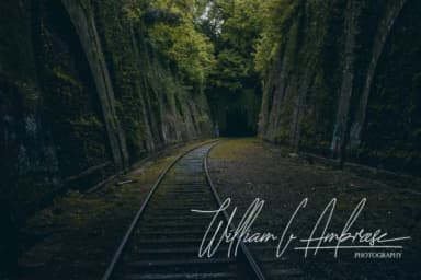 The Fallen Leaf Font by sambuga — Script Handwritten Font — thumbnail 6