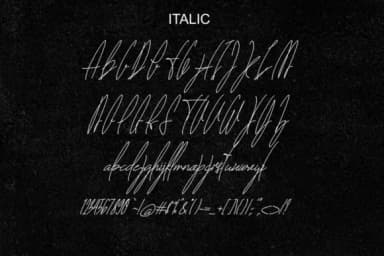 The Fallen Leaf Font by sambuga — Script Handwritten Font — thumbnail 8