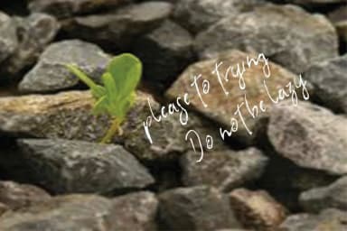 The Flashter Font by Sinfa.co — Script Handwritten Font — thumbnail 4