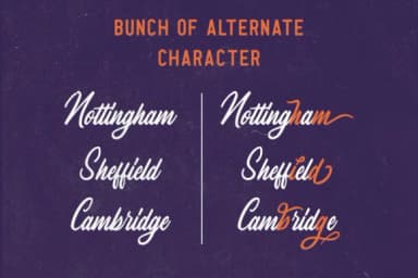 The Greyhound Family Font by Rillatype — Script Handwritten Font — thumbnail 2