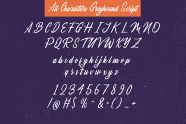 The Greyhound Family Font by Rillatype — Script Handwritten Font — thumbnail 9