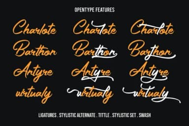 The Gunslinger Font by figuree studio — Script Handwritten Font — thumbnail 3