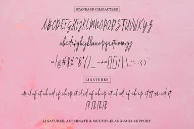 The Hand Style Font by No Gravity Type — Script Handwritten Font — thumbnail 9