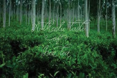 The Kastle Font by Sinfa.co — Script Handwritten Font — thumbnail 3