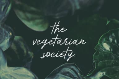 The Kathy Room Font by Typia Nesia — Script Handwritten Font — thumbnail 2