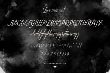 The Live Moment Font by nowlystudios — Script Handwritten Font — thumbnail 8