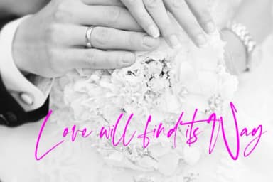 The Moon Falls Font by MysticalType — Script Handwritten Font — thumbnail 2