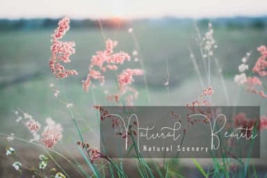 The Mother Font by parawtype — Script Handwritten Font — thumbnail 2