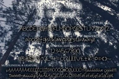 The Ninth Valley Font by DawnCreative.id — Script Handwritten Font — thumbnail 2