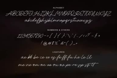 The Queen Font by BennyDesigns — Script Handwritten Font — thumbnail 2