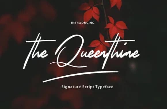 The Queenthine Font by Silverdav — Script Handwritten Font