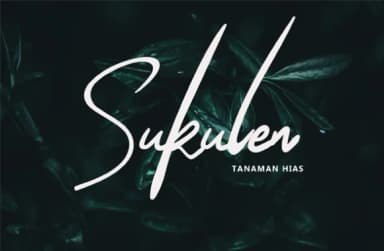 The Queenthine Font by Silverdav — Script Handwritten Font — thumbnail 7