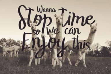 The Stopped Font by SmartDesigns — Script Handwritten Font — thumbnail 5