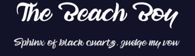 The Beach Boy by Creativework69 Studio — Script Handwritten Font — thumbnail 2