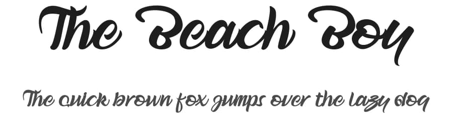 The Beach Boy by Creativework69 Studio — Script Handwritten Font